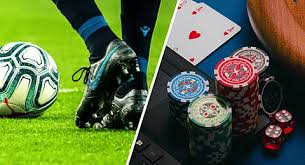Exploring the Excitement of bd333 bet Your Ultimate Guide Exploring the Excitement of bd333 bet Your Ultimate Guide