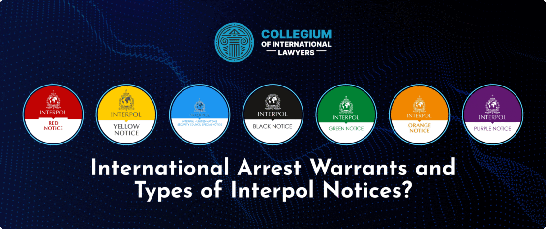 Enhancing Global Security Interpol's Control Over Financial Operations