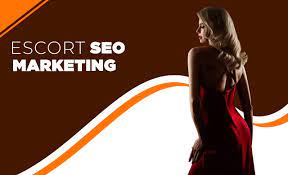 Just how to Discover an Actual Elite Escort 2025 Just how to Discover an Actual Elite Escort 2025